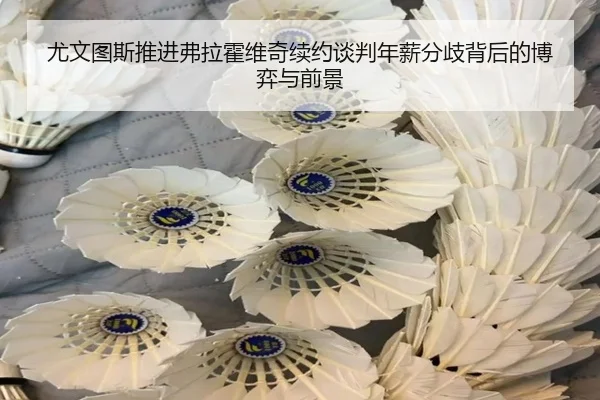 尤文图斯推进弗拉霍维奇续约谈判年薪分歧背后的博弈与前景