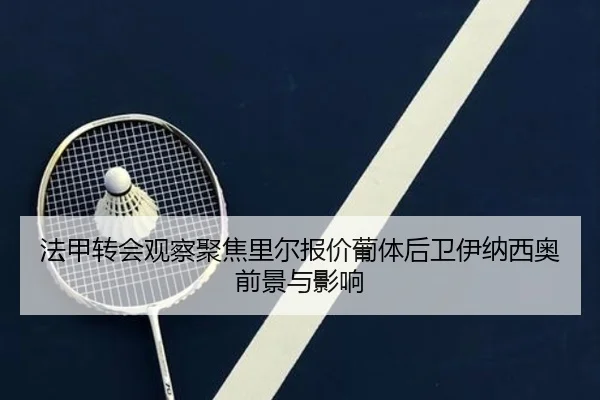 法甲转会观察聚焦里尔报价葡体后卫伊纳西奥前景与影响